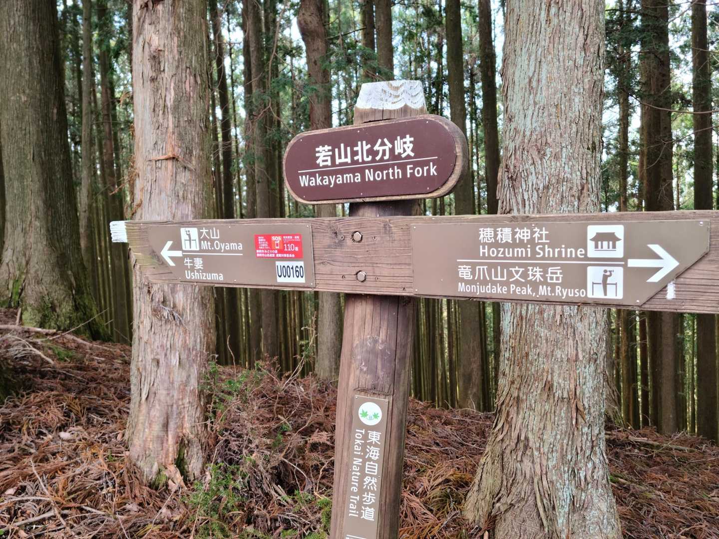若山への登り返しはキツイ…😵