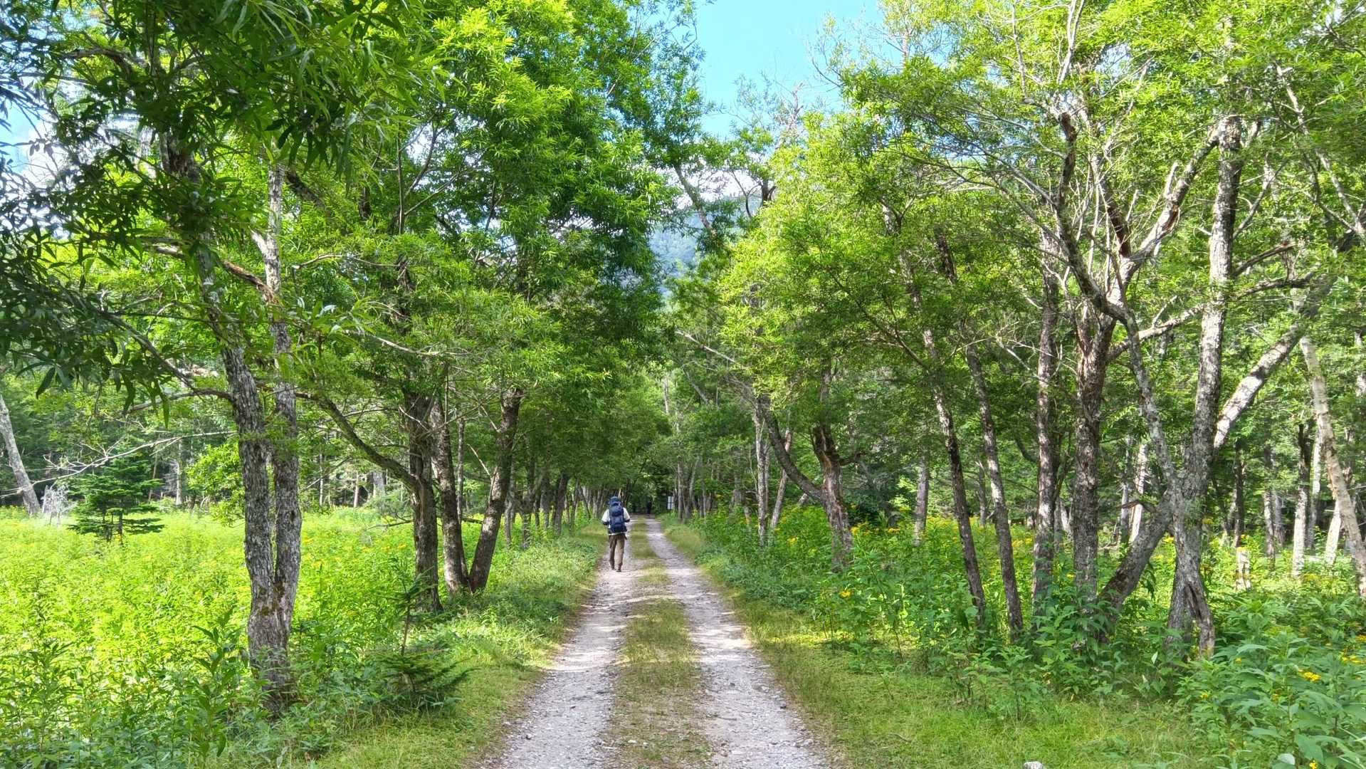 もう少しで駐車場です。
弥陀ヶ池から結構長かった〜
足の疲労感がヤバい😅
でも大満足の山行でした😊
お疲れ山です‼️