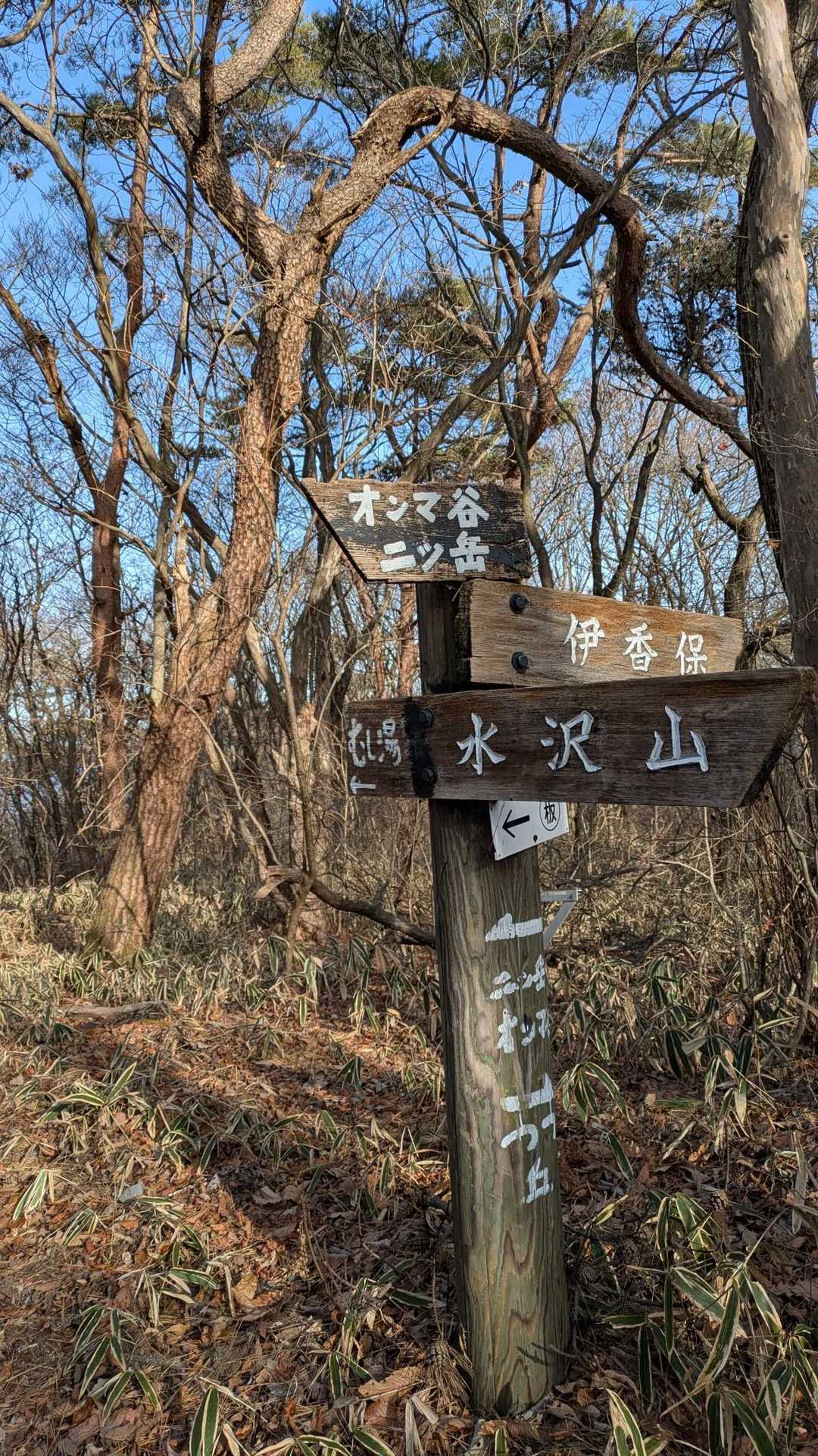 二ツ岳の方へ