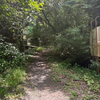 駅探索が楽しすぎて、やっと出発…