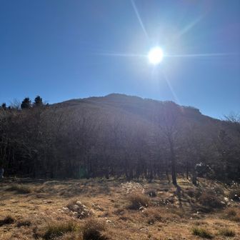 振り返りピーカン