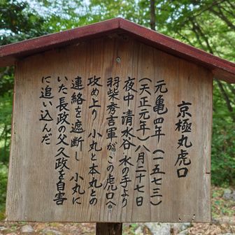 西の斜面を攻め登ったとか・・
このあと戻るのもなんなのでそのまま北に進みましたがなかなかの道でした。
よくこんな所を甲冑をつけて登ったもんだ・・
ピストンで戻ることをお勧めします。