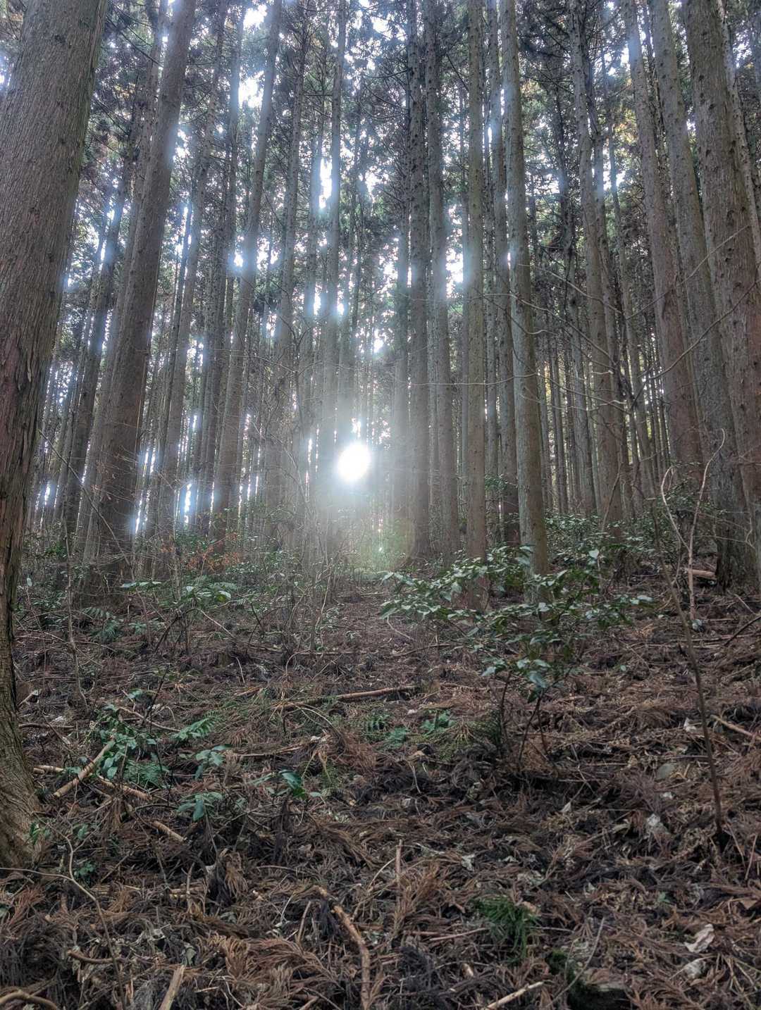 雲多めだけど太陽たまに☀️