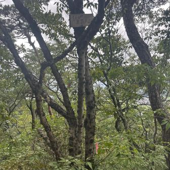 とんび京路戸山
標高241m
