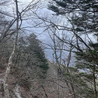 山の上からガスが降りて来てる。
雪もチラついて来た。
途中からは何もなく。