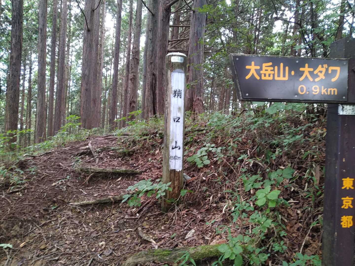 鞘口山の写真