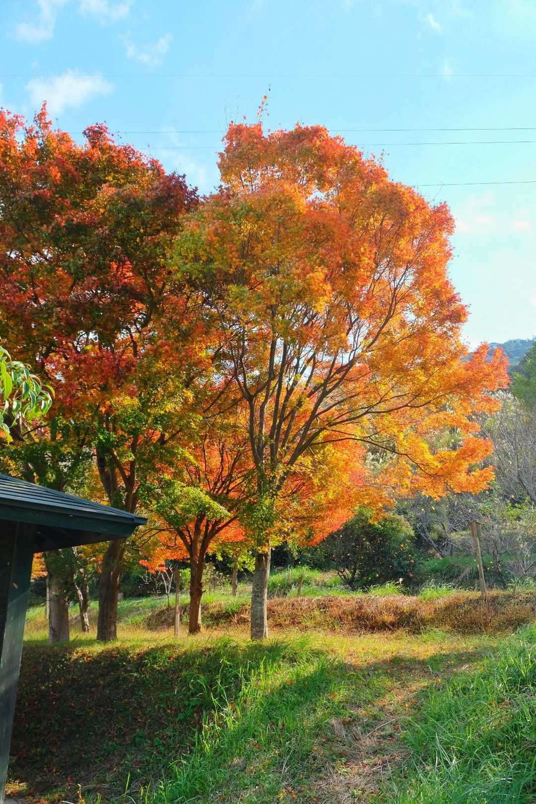 道の駅万葉公園登山口-小富士山-愛宕山 往復コースの写真