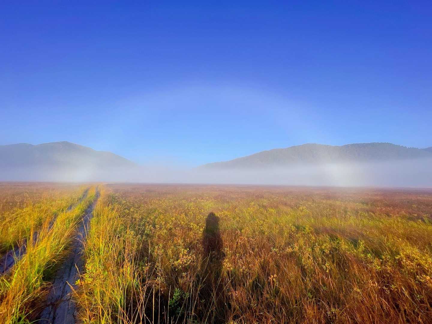 太陽が昇ってきたら、青空！
しかも、白い虹🌈