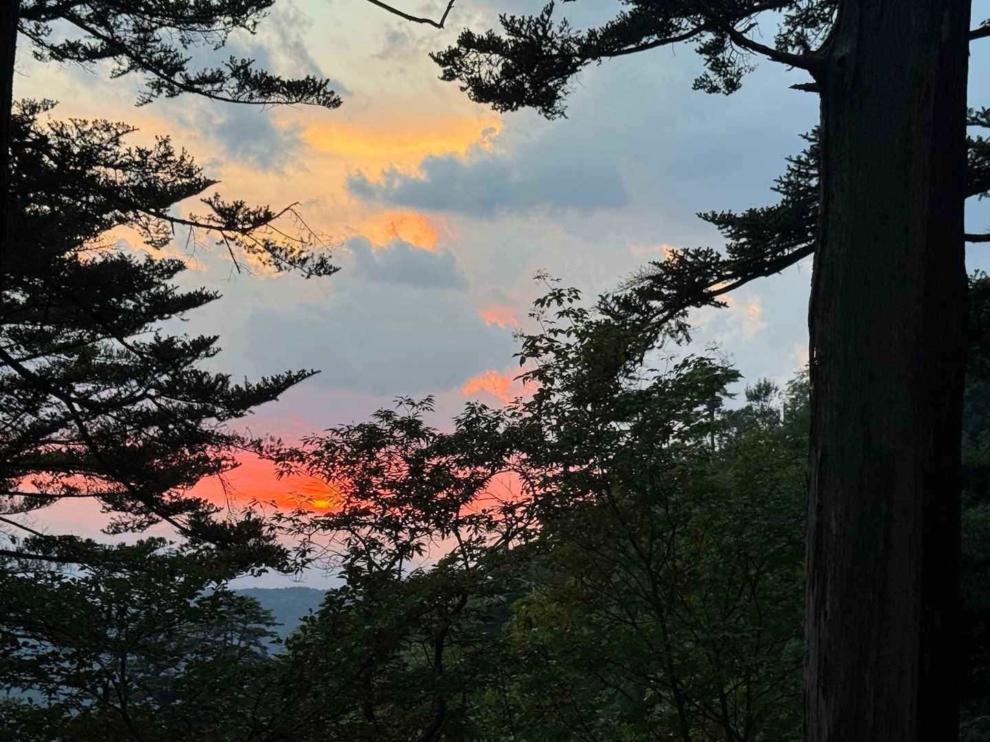 日が暮れてきて夕焼けで真っ赤でした