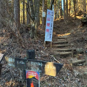 車道歩き終了Go Go山道‼️