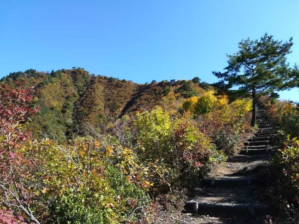 坂戸山の写真