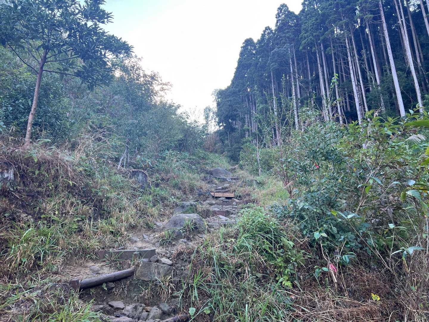 小谷登山口-双石山 往復コースの写真