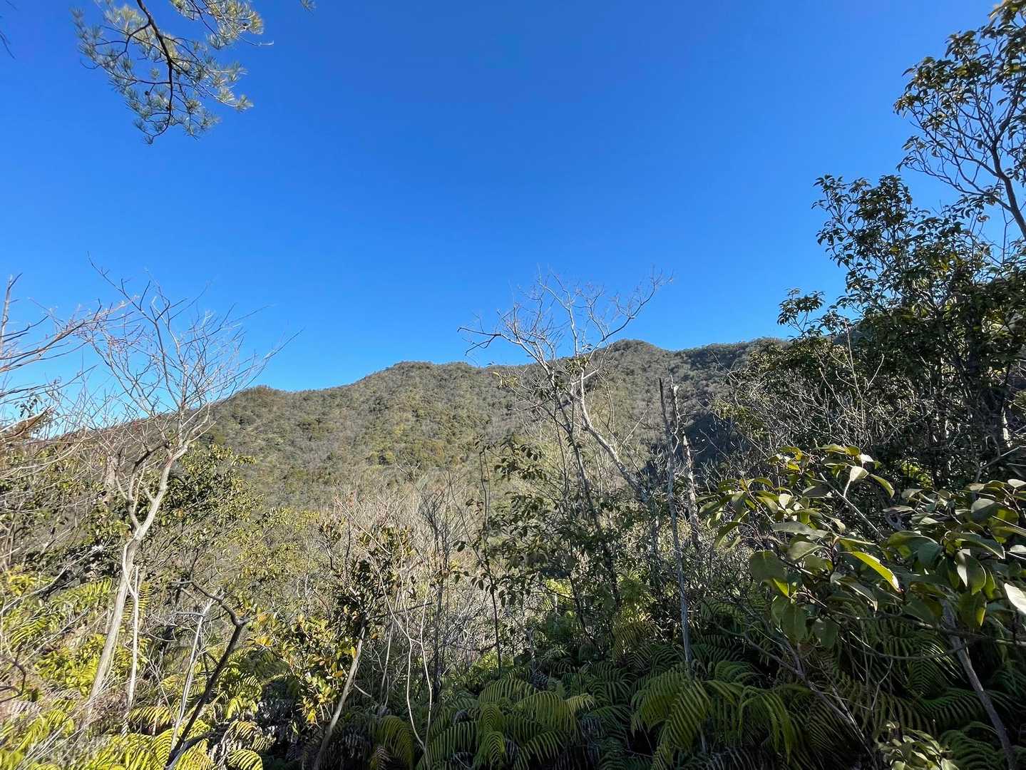 　　⛰️三角点山を振り返って👋