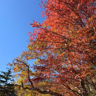 秋は涼しくて良いなぁ〜