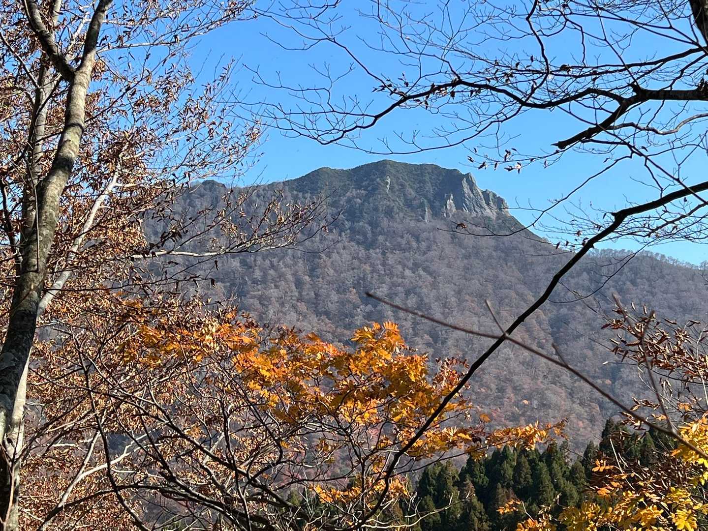 甲ヶ山見えた