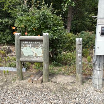 ところで何故恐竜だっだのだろうか・・・
