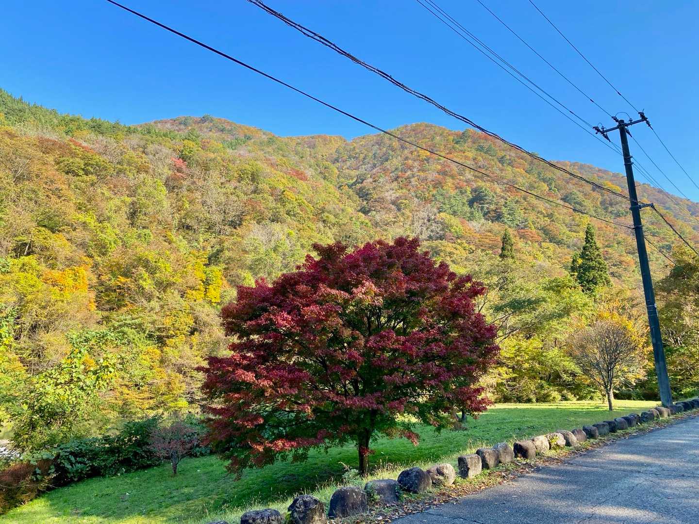 あと一息🍁