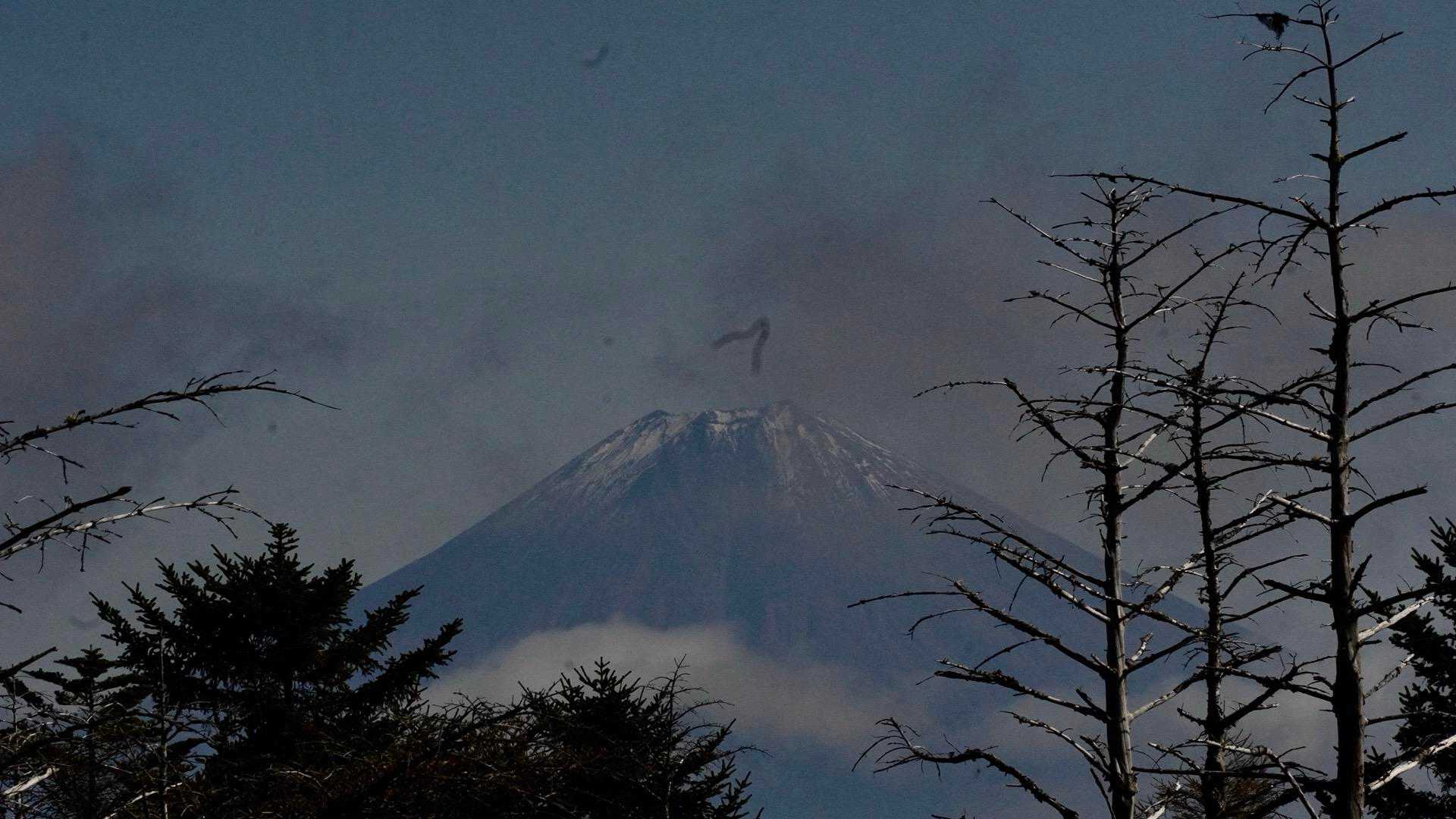 百畳峠-山伏-大平沢ノ頭-新窪乗越-大谷嶺 往復コースの写真