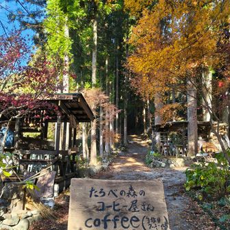 たろべぇじゅの所になにか…
おっ？ここは知らんぞ
ちょっと覗いたらどうぞ〜とお声が