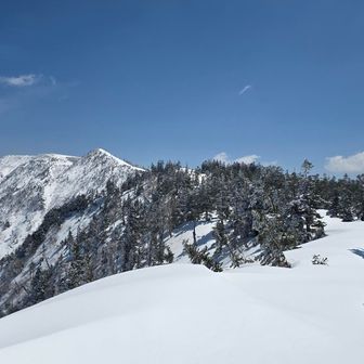 登り上げて、檜ノ塔🙌

ふわっ、真っ白、真っさら✨