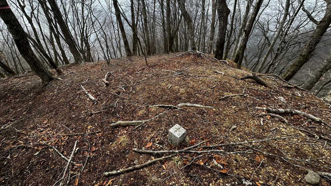 奥多摩、石尾根テン泊縦走（鴨沢〜七ツ石山〜鷹ノ巣山〜六ツ石山〜奥多摩駅） の写真 83