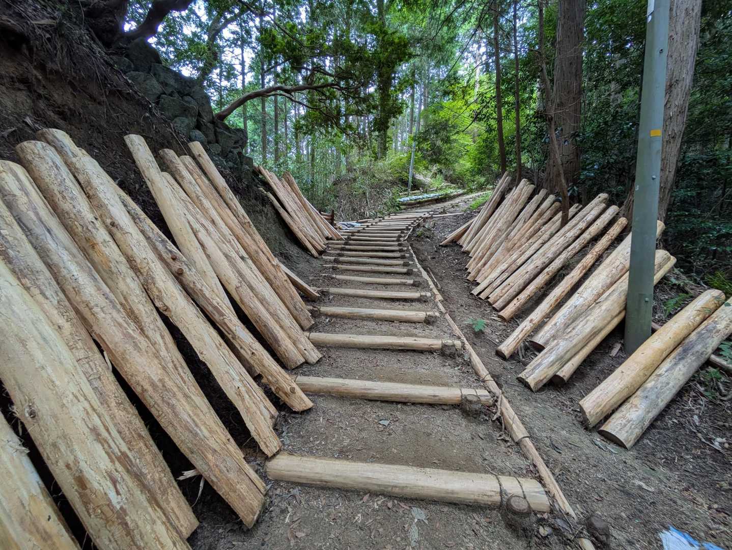 千早本道は、色々整備して頂きありがとうございます😊
