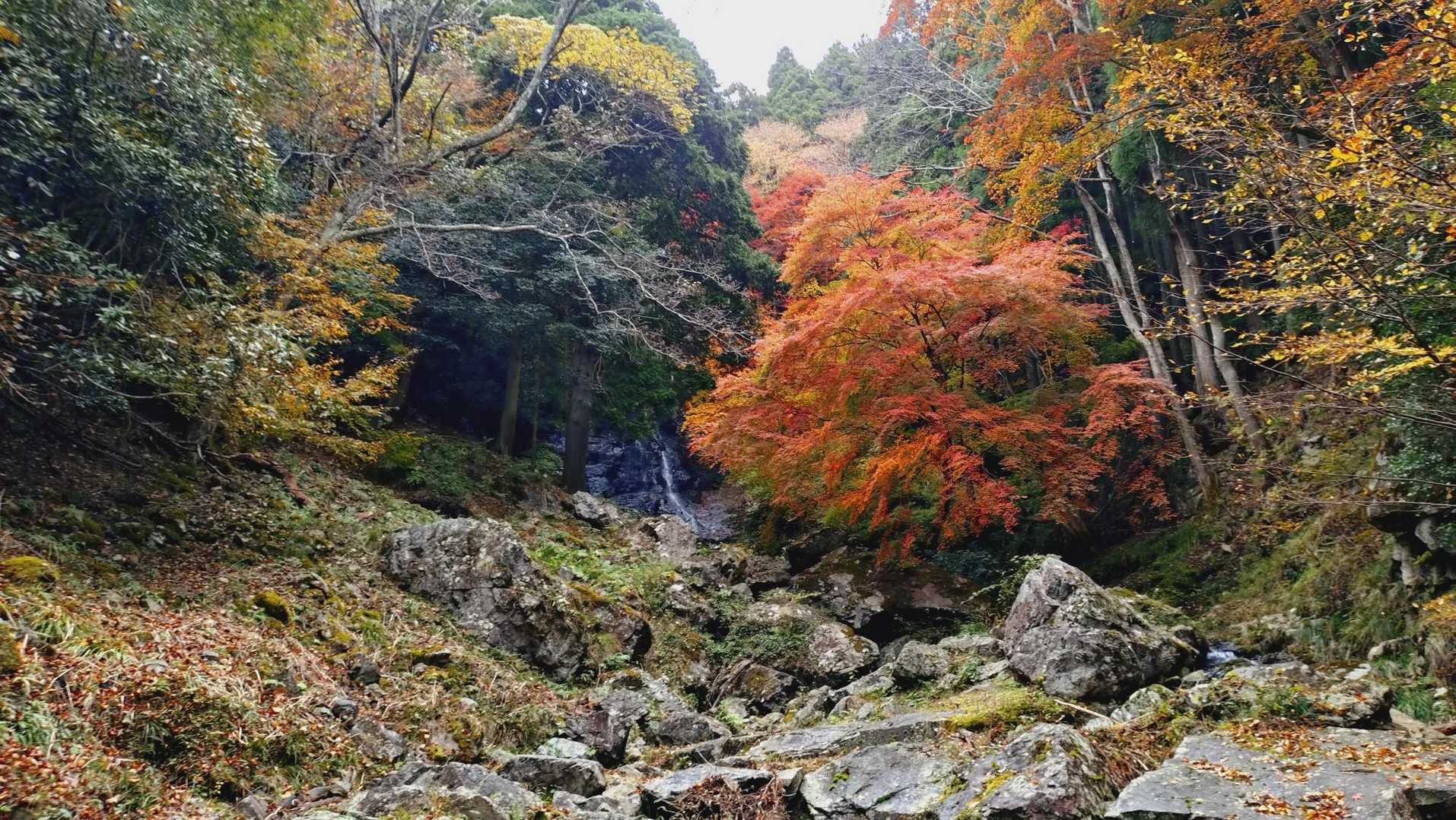三谷登山口-千ヶ峰 往復コースの写真