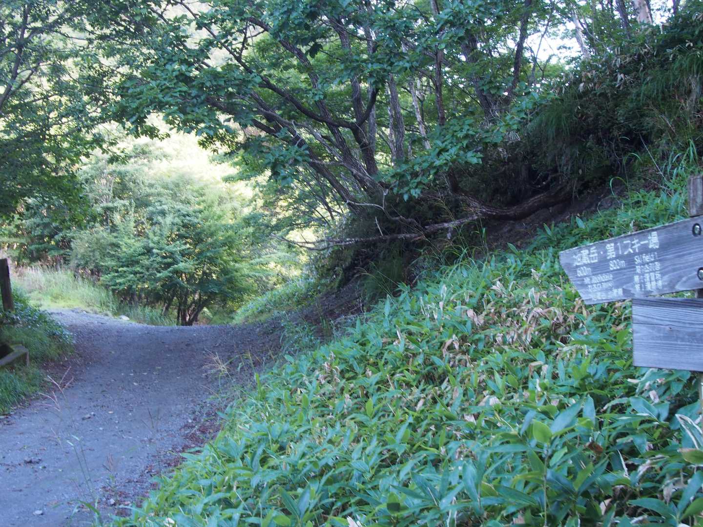 八丁峠駐車場から山道へ