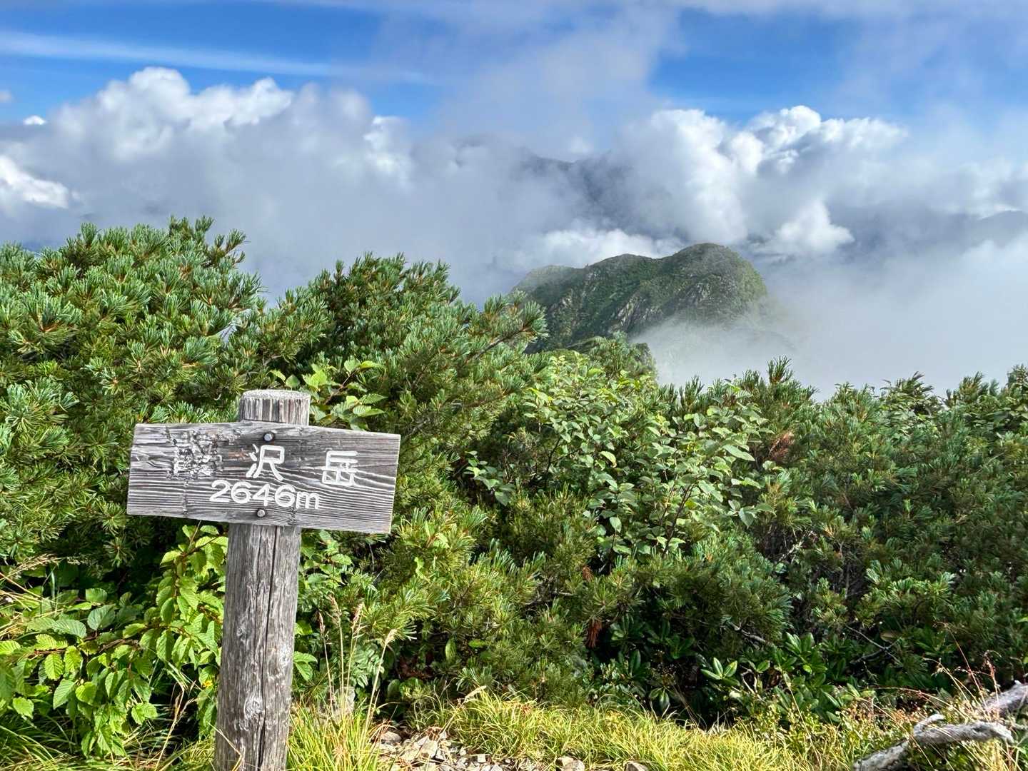 山頂標識と。晴れ待ちしてパチリ。向こうに見えてるのは六百山かな？その左に穂高連峰が見えるはずなんやけどねー。