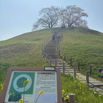 下山は反対側の階段から下りてきました。
こちら側からもとてもフォトジェニック。