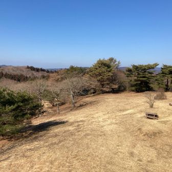 山頂が公園みたいに広い