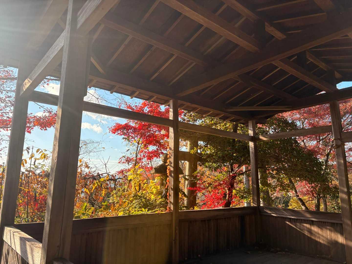 八尾山 往復コースの写真