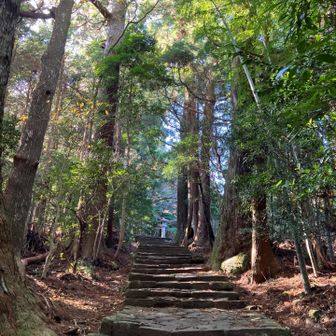エグい。。。
けど、本当に厳かで圧巻🙌