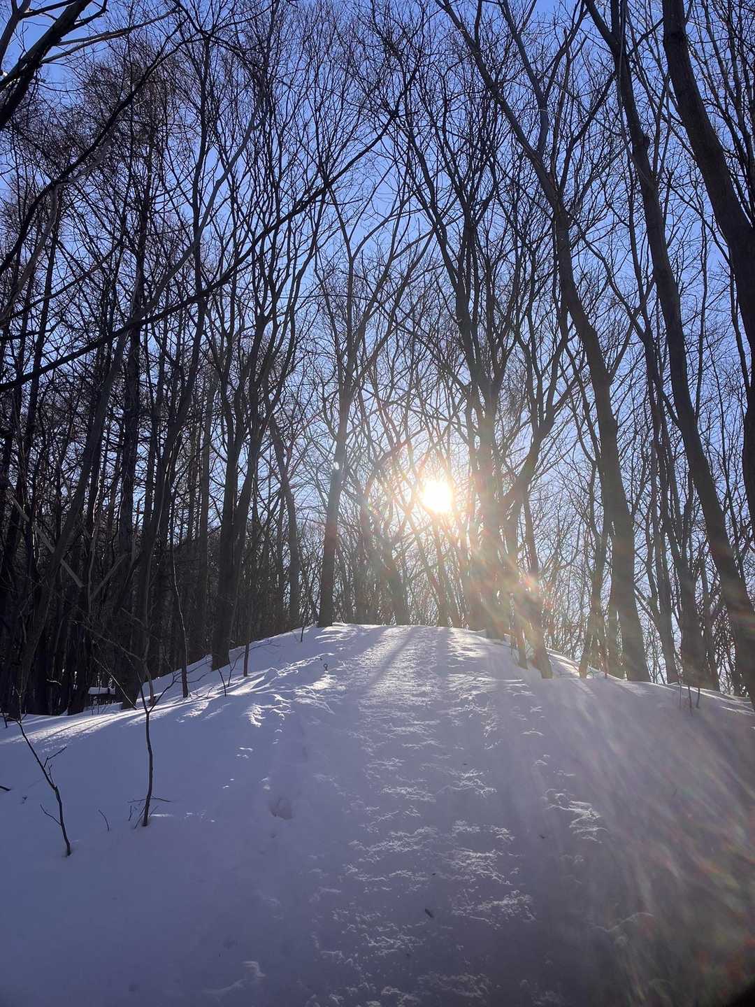 山の手入口-三角山-大倉山登山口 縦走コースの写真