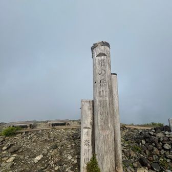 山頂着いたらガッスガス😅
今年は好天、絶景富士山に恵まれてたから
いいんです😆

登れただけで幸せなんだよなぁ。
よくもまぁおんなじ山ばっかり、、と自分でも思うんですが、何度も登りたくなる飽きのこないお気に入りの山があるって、ありがたいことだなぁ、そんなふうに思います。
自己満足の肯定感、丹沢には感謝しかありません！