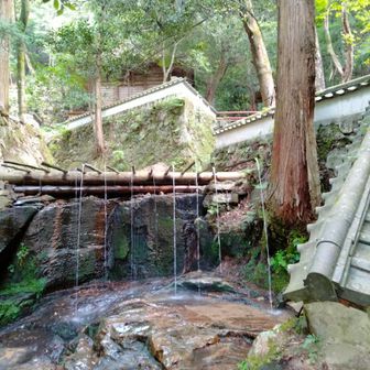 平原の滝
ここは涼しいです
