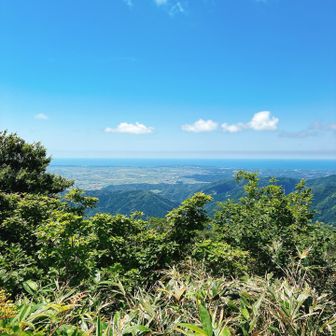 山頂からの眺望
この後は、火燈古道を歩いて下山