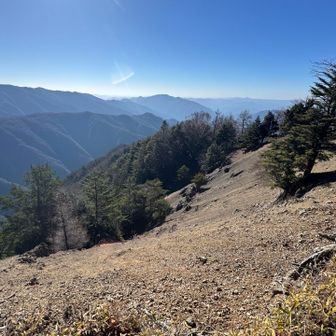 山について語り合った。
