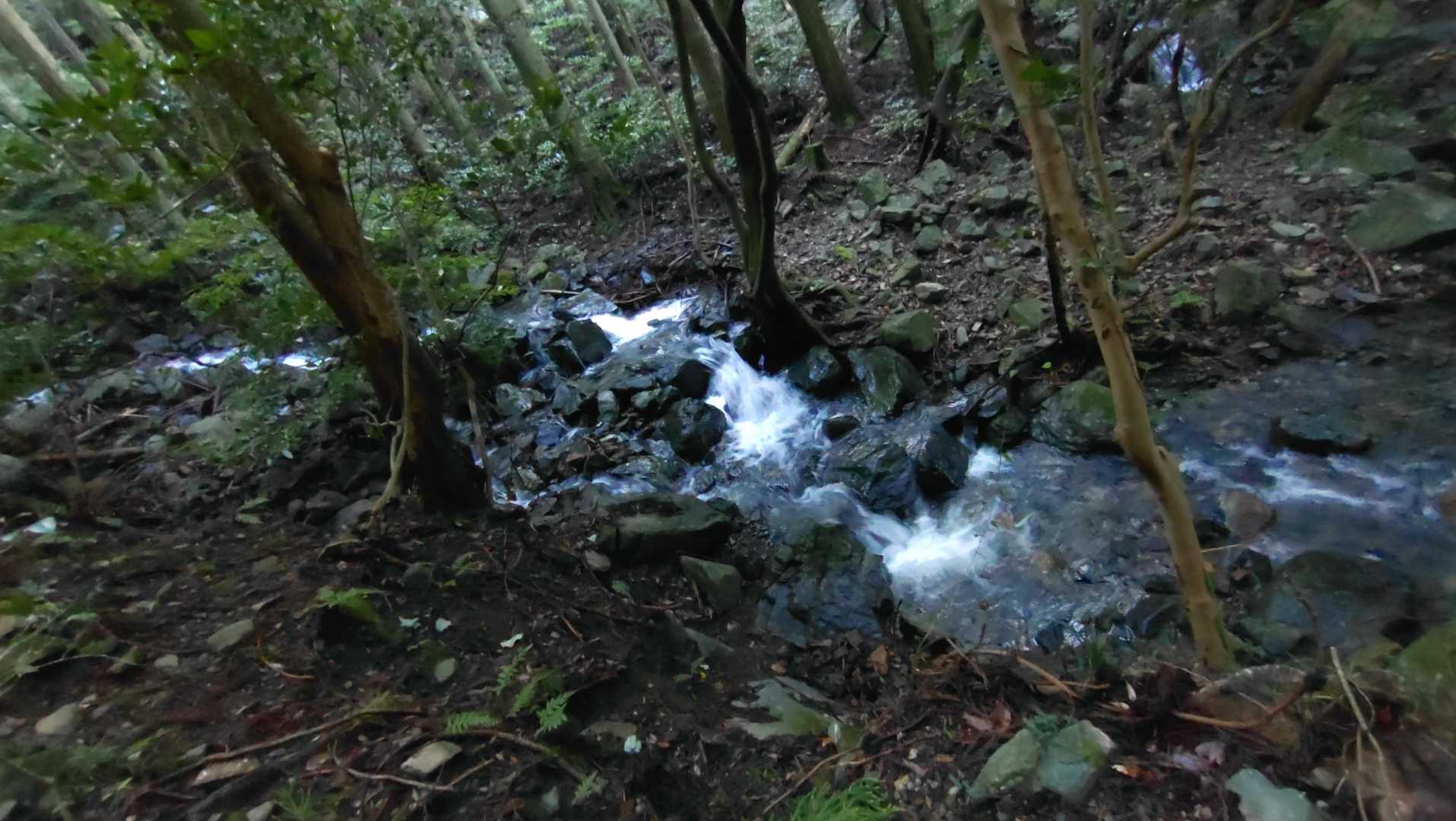 上野登山口-上野越・福智山分岐-福智山 往復コースの写真
