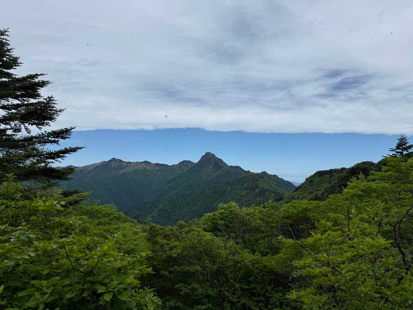 丸滝小屋からの石鎚山⛰️