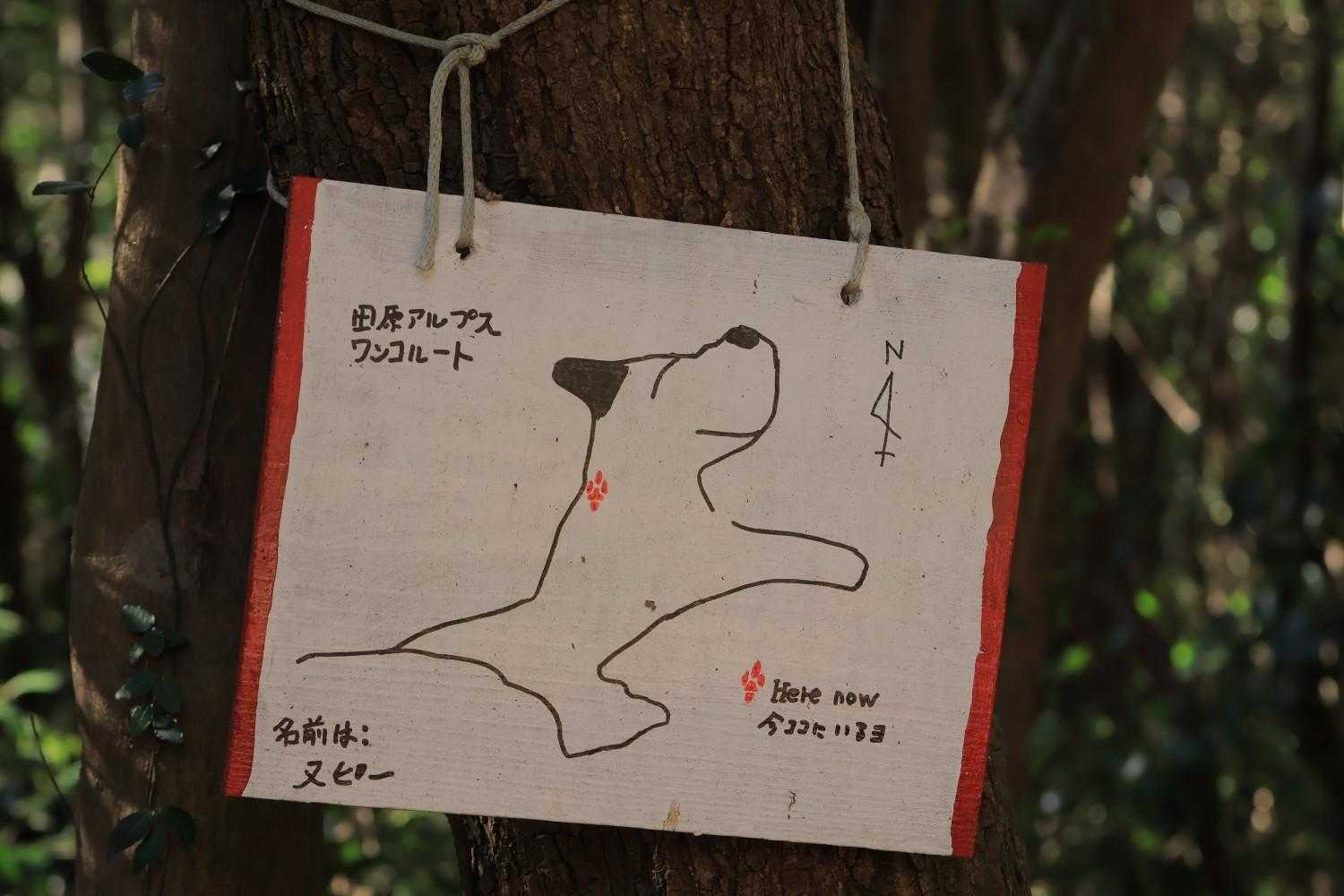 地図のチェックしながら