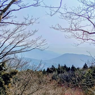 一部開けた場所で✨📸