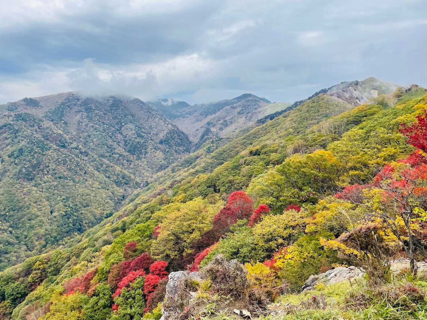 公園入口バス停-中倉山登山口-中倉山 往復コースの写真