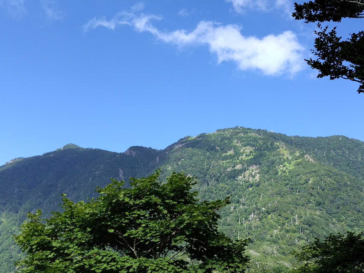 弥山🤩