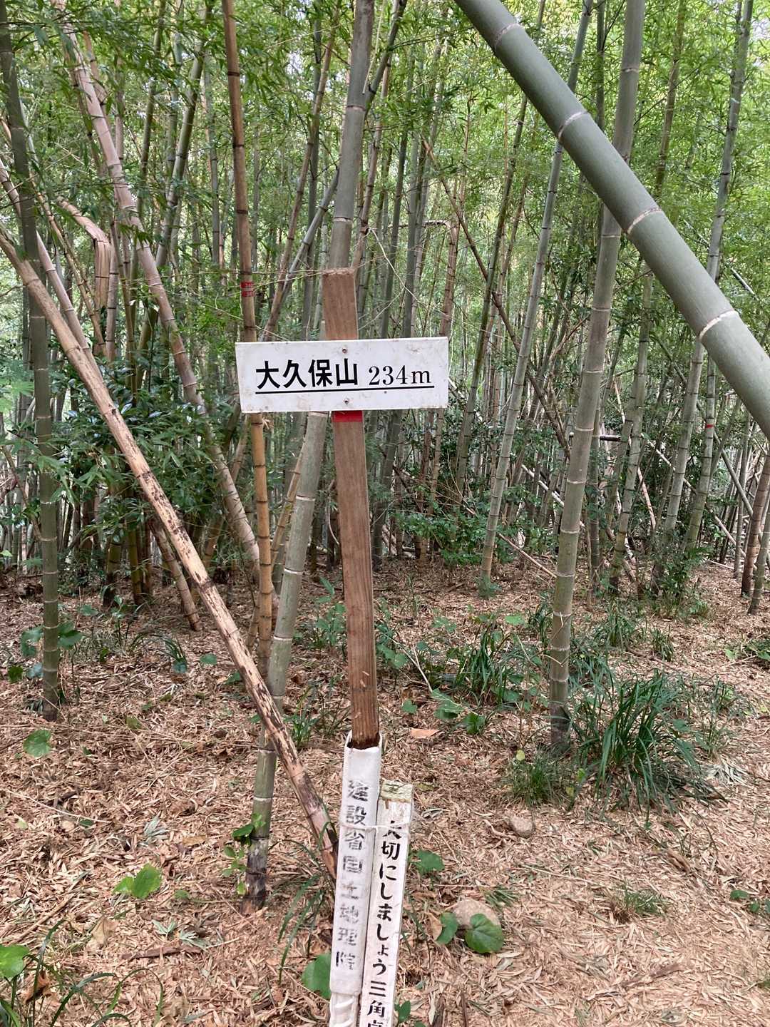 こっちが山頂みたいです。眺望はありません。