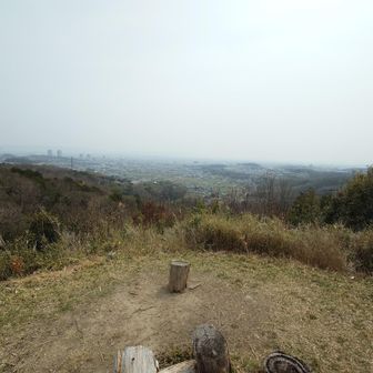 展望がひらけてきた。