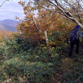 火打ち方面への分岐