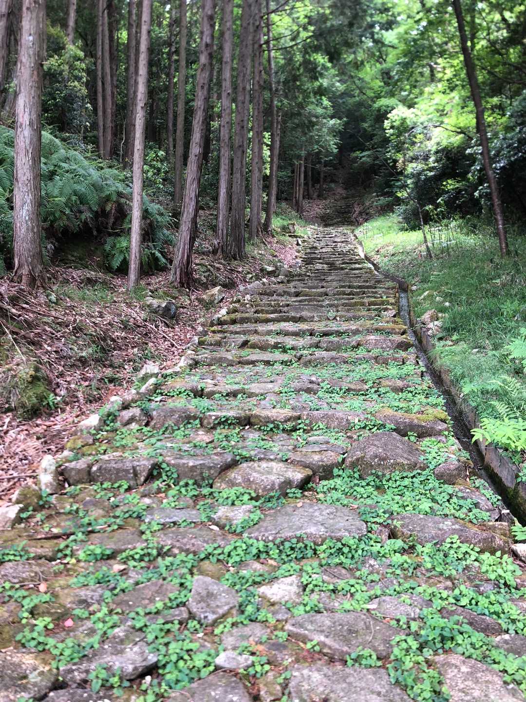 雪野山 往復コースの写真