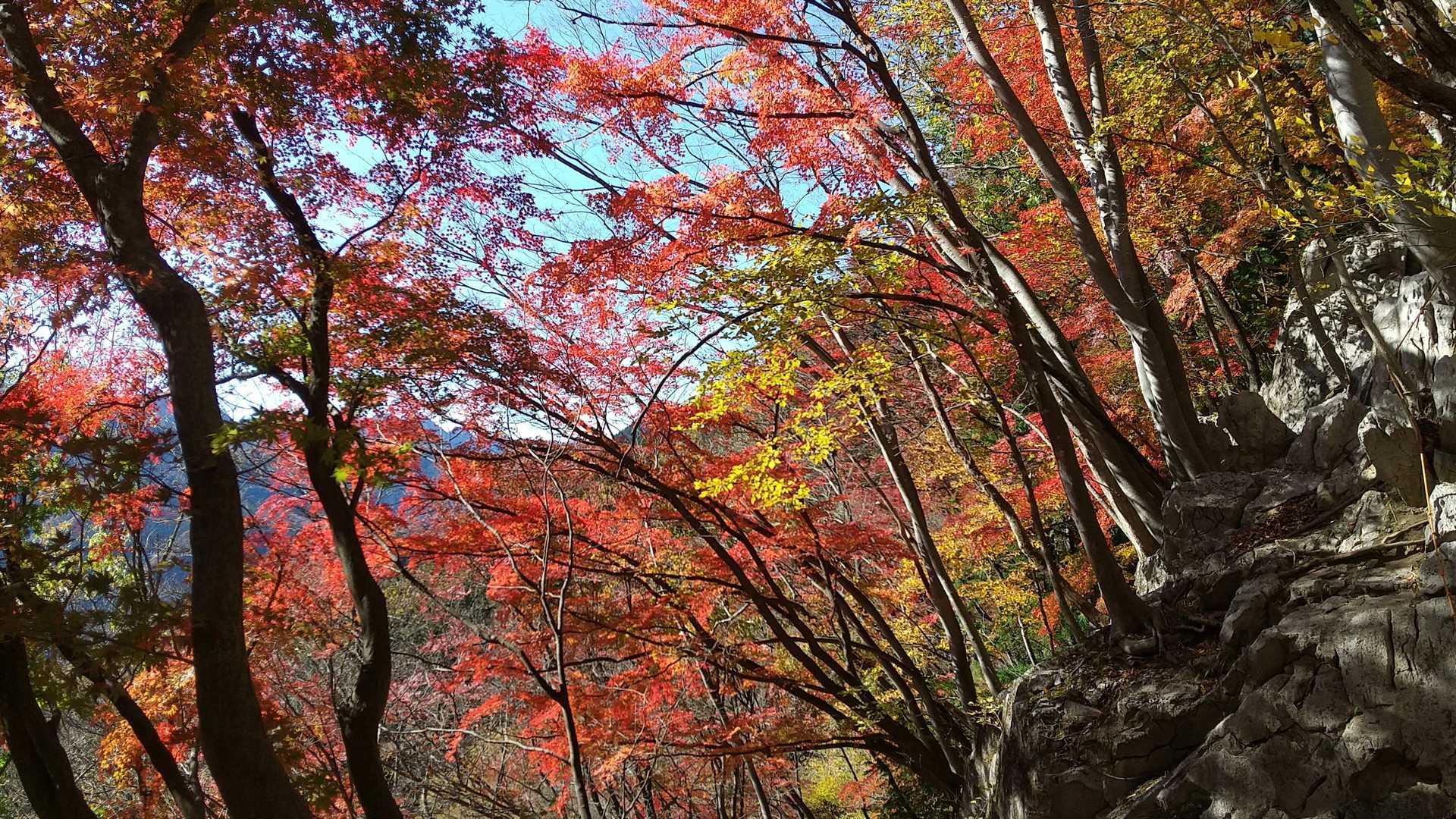 二子山登山口-股峠-二子山東岳-二子山西岳 往復コースの写真