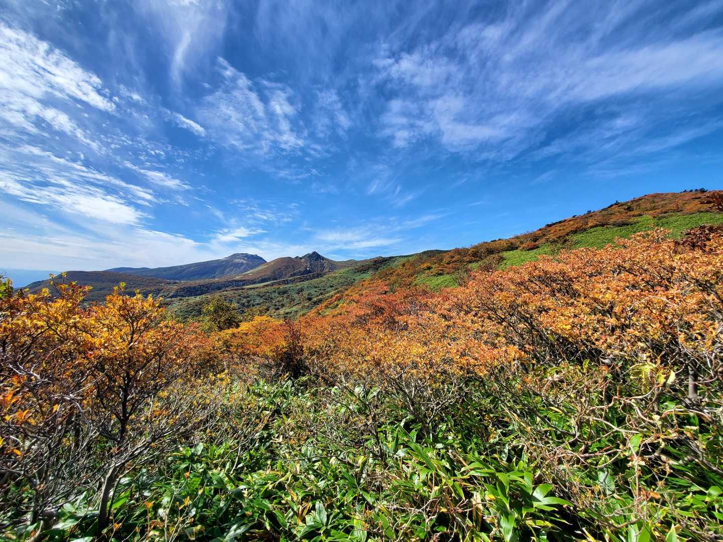 旧白河高原スキー場登山口-赤面山-前岳 往復コースの写真